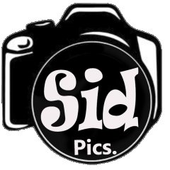 Sidpicsfotógrafo